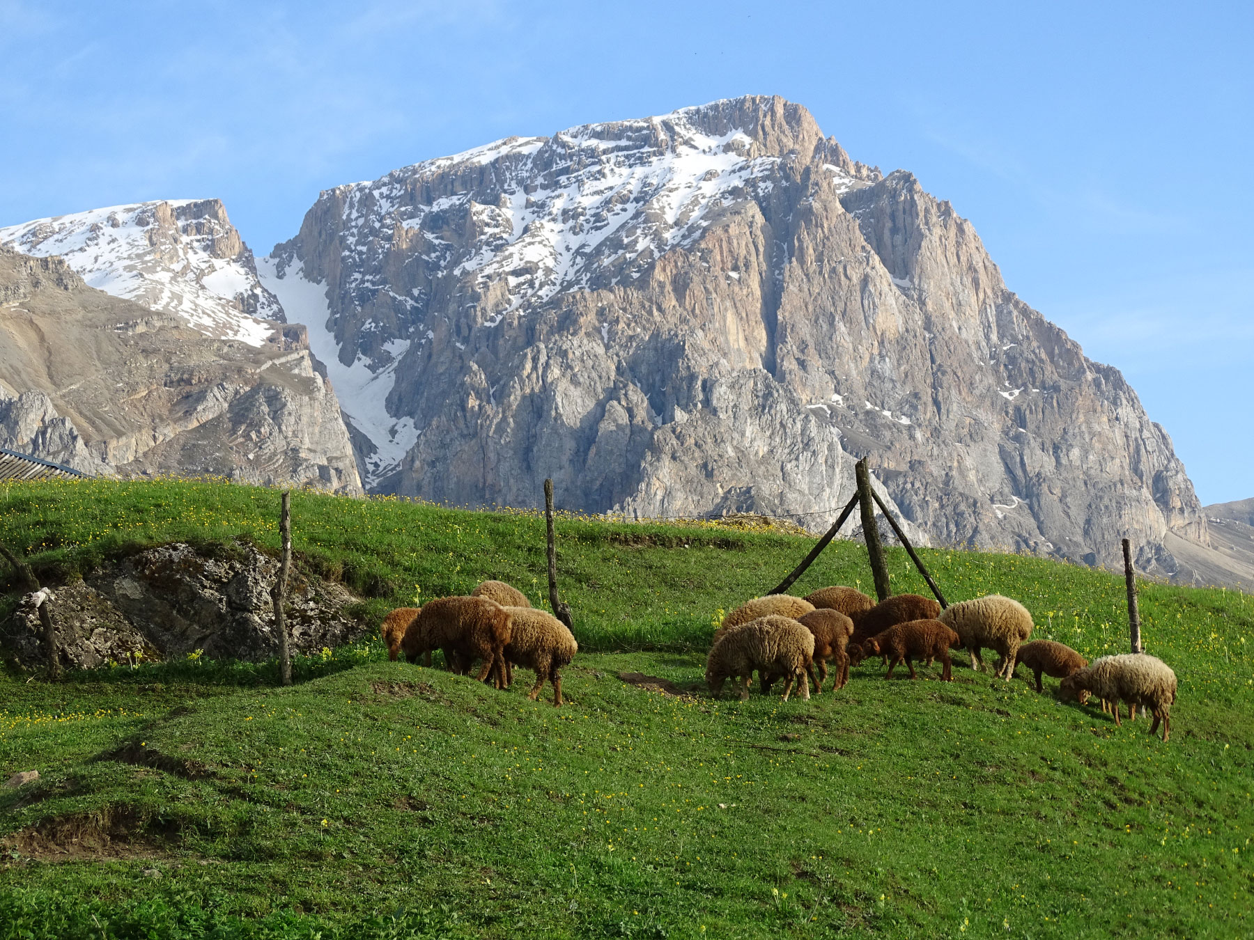 Laza (Photo license: CC BY 2.0)